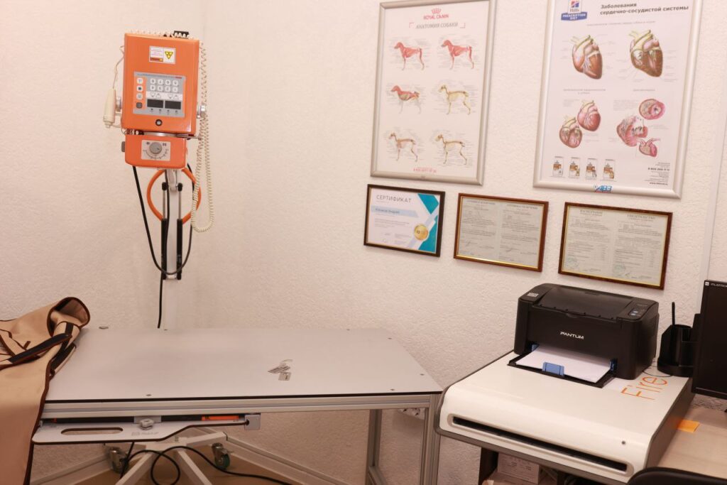 Современный рентген-кабинет в ветеринарной клинике